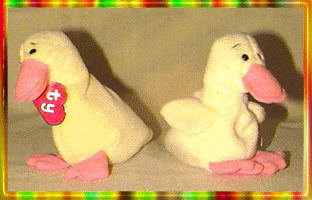 beanie babies wingless quackers quacker no wings