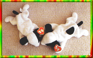 spot without the spot beanie baby variation